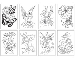 Раскраска Chameleon Color Cards Nature CC0101-foto2