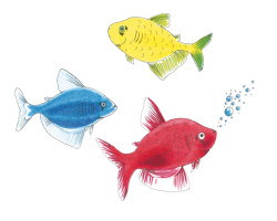 Маркеры Copic Ciao 5+1, яркие цвета + лайнер 22075550-foto2