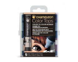 Набор блендеров Chameleon 5 шт Skin Tones телесные тона CT4510-foto3