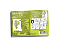 Раскраска Chameleon Color Cards Flowers CC0102-foto3